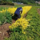 사철슈퍼 이미지