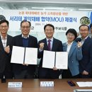 강진5호 이미지