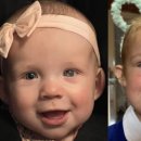 한국돼지유전자(K.P.G) 이미지