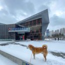 송도종합관광안내소 이미지