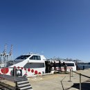 길愛 예술- 자전거 | 호주 퍼스 로트네스트섬 현실 후기 | 자전거 투어, Little Salmon Bay