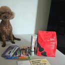 마루덴탈 이미지