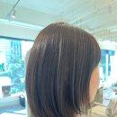 데이지엘