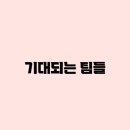 예선기획