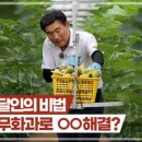 김갑종농장 이미지