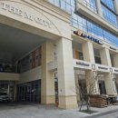 더사랑 동물병원 이미지