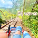 문경 레일바이크 철로자전거 문경여행 무조건 가볼만한곳