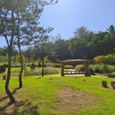 탄현공원 이미지