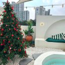 도너스데이 | 수원 크리스마스 분위기 카페 끝판왕 🎄도너스데이 낮 VS 밤 방문 후기 (낮 밤 차이 사진 비교)