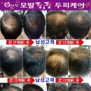 염색팡팡 이미지