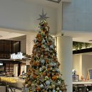 제드짐 | 2025.12월_2탄> / 첫 미국 여행(+시카고 입국심사 후기, 추천템), 미국 공항에 갇힐뻔 한 이야기 제드...