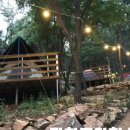 강화도아침숲속캠핑장 이미지