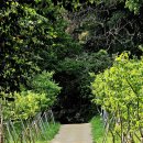 죽도봉 주차장 내 이미지