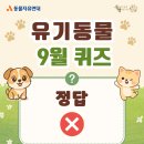 9월 유기동물 OX 퀴즈 정답 이미지
