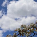 늘푸른농장 이미지