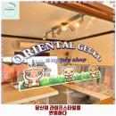 두류댕댕 | 내당1동 애견카페 오리엔탈게코 남구점 가격 및 후기 추천 리뷰 주차 예약 알아봐요