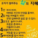 숫자의 의미 이미지