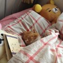 우리한우소곱창 네이버블로그