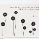 NF002 Daum카페