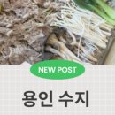 예담은밥상