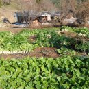 가야산아래 이미지