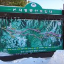 제52차 정기산행 선자령(1157m) 백두대간의 주능선에 우뚝 솟은 여인을 닮은 =인기명산= *설경/눈꽃 비경 * 산행공지 2012.01.08 06:00출발 이미지