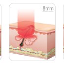 네오의원 이미지