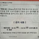 맛있는 청어람 노지실생오이 12일까지 되는량만큼 주문 판매합니다 이미지