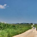 강산목장 이미지