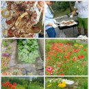 수레의산자연휴양림 이미지