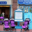 알로앤루 이미지