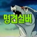 명견 이미지