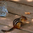 전주관광호텔 이미지