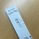 퍼스트이비인후과의원 | 코로나 유행? 코로나 증상 3일째, 천안 퍼스트의원 내돈내산 방문 후기