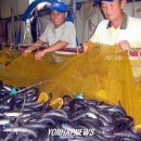 천보수산 이미지