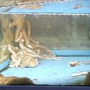 청해아구찜 이미지