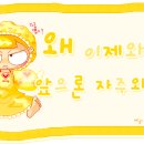 더싱글 이미지