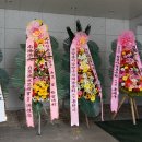 여천 홍범도 장군 순국72주기 추모식 및 기념학술대회를 참관하다.2015.10.23 이미지