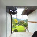 달에게 빌려온 하루 이미지