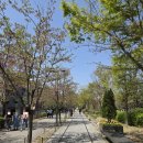 에스시에스 | 노원구맛집 공릉역맛집 대마에스시 특단정식 제대로 즐기고 온 후기🍣