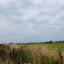 상모리-8 이미지