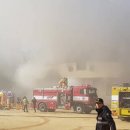 강남초등학교 이미지