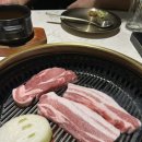 샐리즈로우 이미지