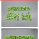 용인대 태비태권도장 이미지