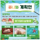 2026.4.23 쥬니멀 동물체험수업(아기돼지삼형제 명작동화 속의 동물 만나기) 아기돼지삼형제 e-book 을 안내드 이미지
