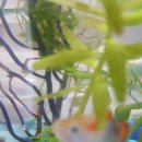 진로직업체험 지도사 2급 이미지