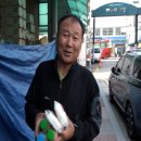 일등장터 이미지