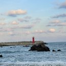 오션1527 이미지