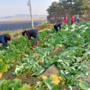 삼기면 주민자치센터 이미지