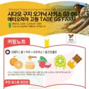 허니소농장 Daum카페